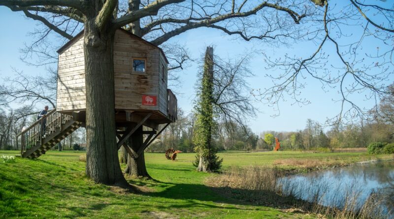 Photo treehouse
